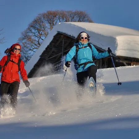 Chalet Spacieux Proche Pistes Et Centre, Animaux Acceptes Et Parking - Fr-1-505-75 *