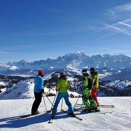 Crest-voland, 7 Pièces, 16 Personnes - Fr-1-505-75 Chalet *